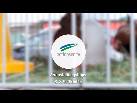 Veranstaltungstipps für Ostfriesland
