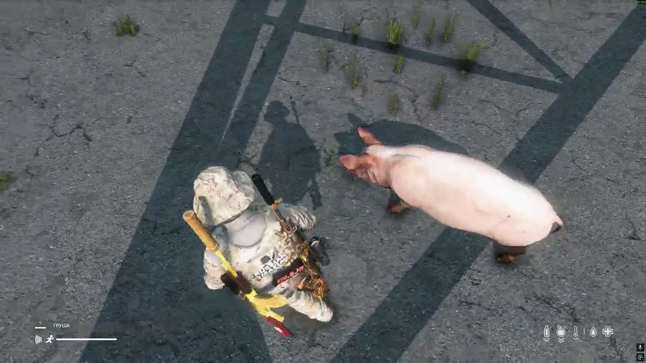 DayZ -Strij_PVE- Золотая свинка Пеппа. xD