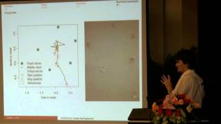 IEEE DCOSS'12: Network Deployment and Topology Optimization (1/2)