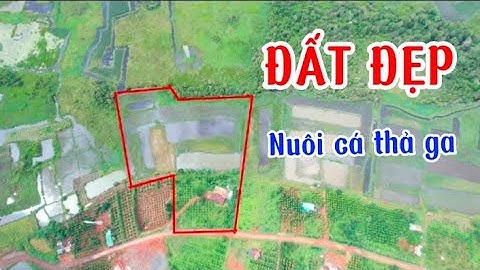 1ha6 đất đẹp đắk nông. mặt đường bê tông, mặt suối và quá trời hồ luôn I Tài Nguyên Đất #đấtđắknông