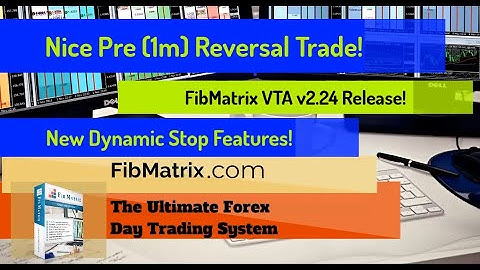 Nice Autopilot Pre Reversal Trade 20 Pips! FibMatrix VTA v2.24 Automated Forex Trading Software