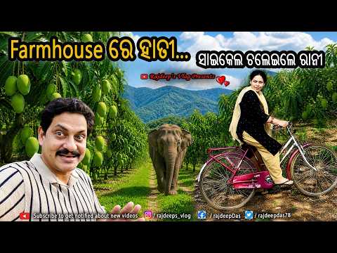 Farmhouse ରେ ହାତୀ... ସାଇକେଲ ଚଲେଇଲେ ରାନୀ | Rajdeep's Vlog - 253