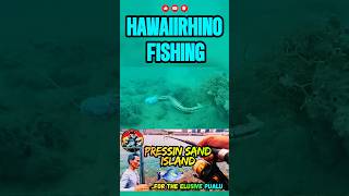 What Really goes on Underwater 👀🎣🤯 #fishcam #hawaiirhinofishing #fishinghawaii