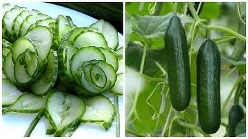 Học cắt tỉa đơn giản từ cà rốt và dưa chuột