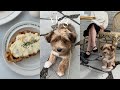 SUB) vlog, 강아지와 첫 카페투어 🐶☕️ 집에서 요리해먹는 브이로그, 데일리룩 소개