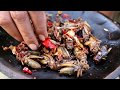 Survival skills: Find crickets In the ground & grilled for food - Cooking crickets eating delicious