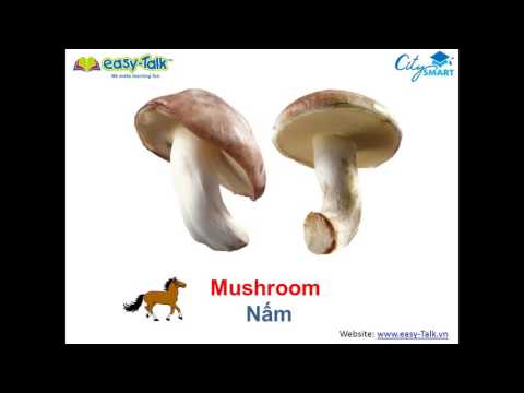 Từ Vựng Tiếng Anh Theo Chủ Đề - Rau quả (Vegetables)