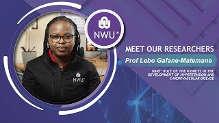 Dive into the Role of Kidneys in Hypertension with Prof Lebo Gafane-Matemane