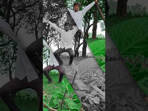 dal gali na tohar tranding shorts viral #viralvideo # #shortsfeed #youtubeshorts