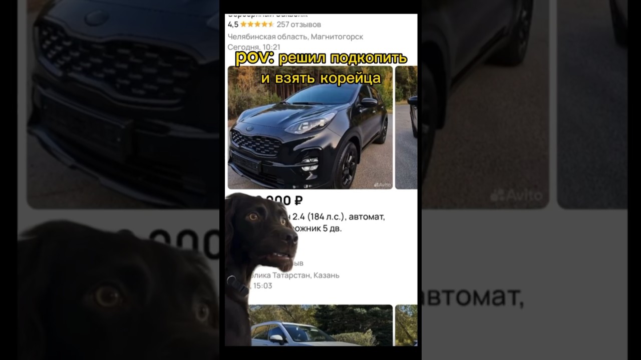 2023 год пощади 🗿 