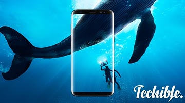 Samsung Galaxy S8 Plus (GS8+) Overview