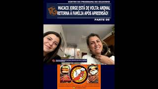 PARTE 05   MACACO JORGE ESTÁ DE VOLTA  ANIMAL RETORNA À FAMÍLIA APÓS APREENSÃO