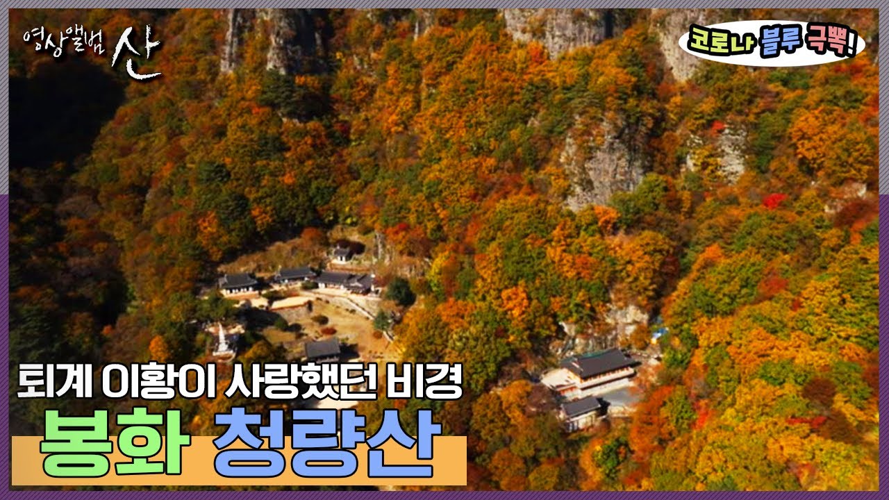 [영상앨범산] ‘영남의 소금강’이라 불리는 경북 봉화 청량산 | “가을의 초대 봉화 청량산” (KBS 141102 방송)