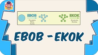 Ebob - Ekok Konu Anlatımı Ve Formülleri 8 Sınıf Matematik 