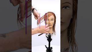 Easy Face Frame Haircut Technique