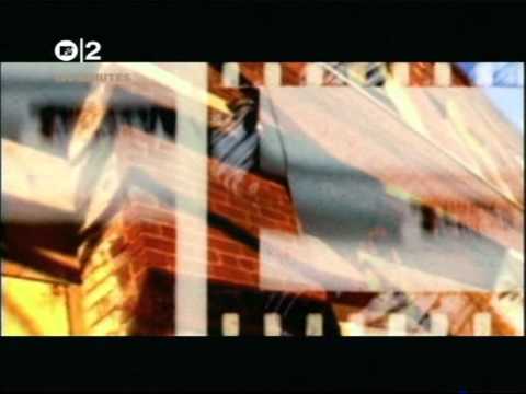 TORTOISE - "The Suspension Bridge At Iguazú Falls" - (TNT)