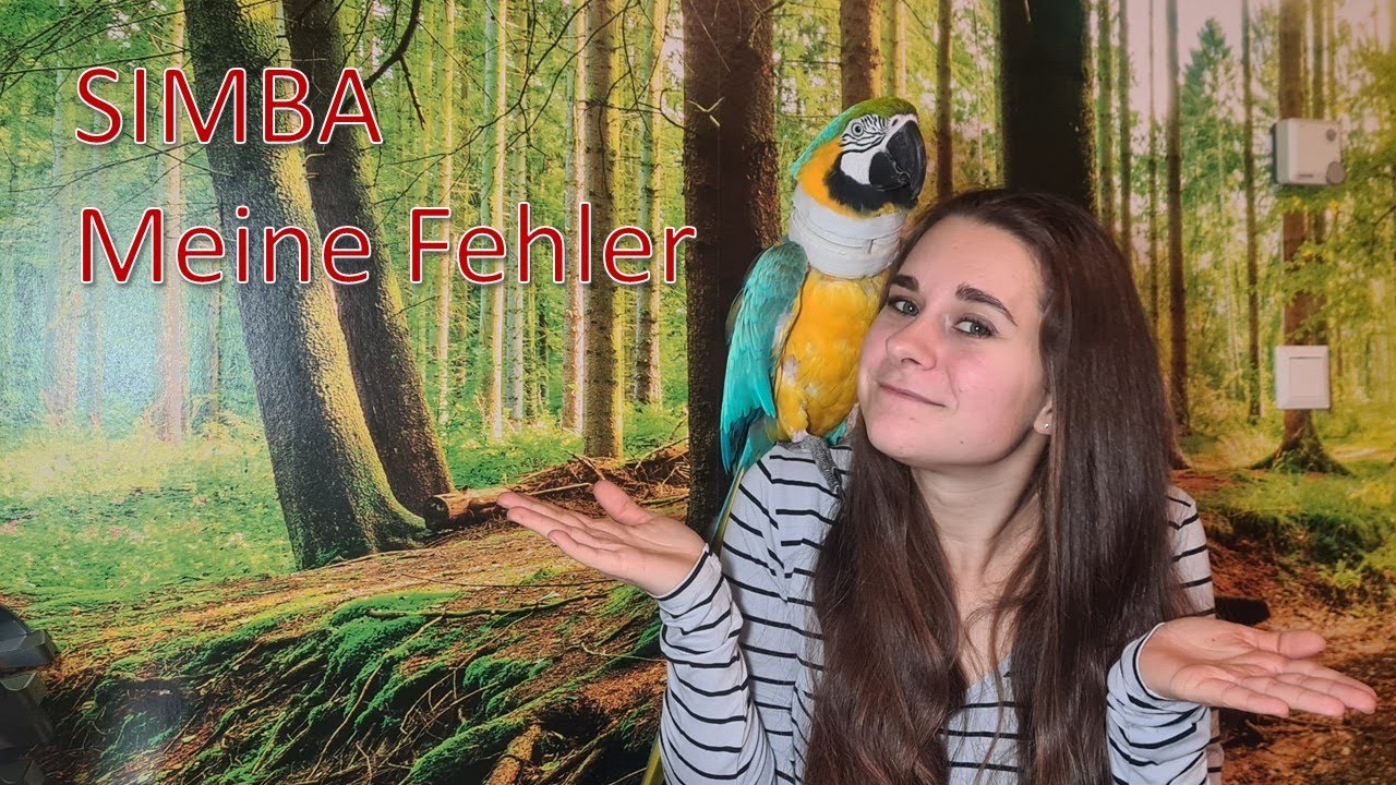 Simba -  Meine FEHLER