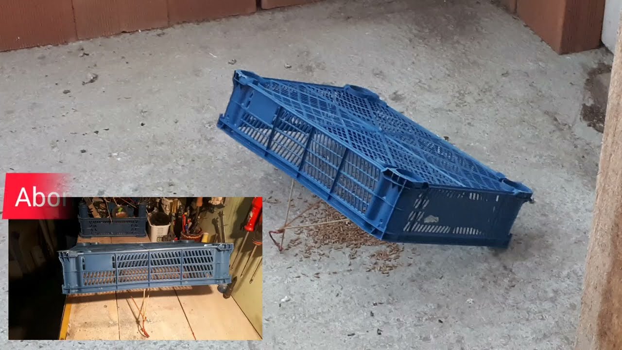 kuş tuzağı nasıl yapılır