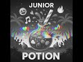 JUNIOR POTION REMIX mp3