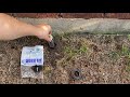 Cap a sprinkler head in under 1 min and $1 Cheap fast easy