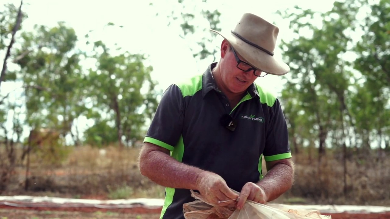 Alternate Ways to Fertigate