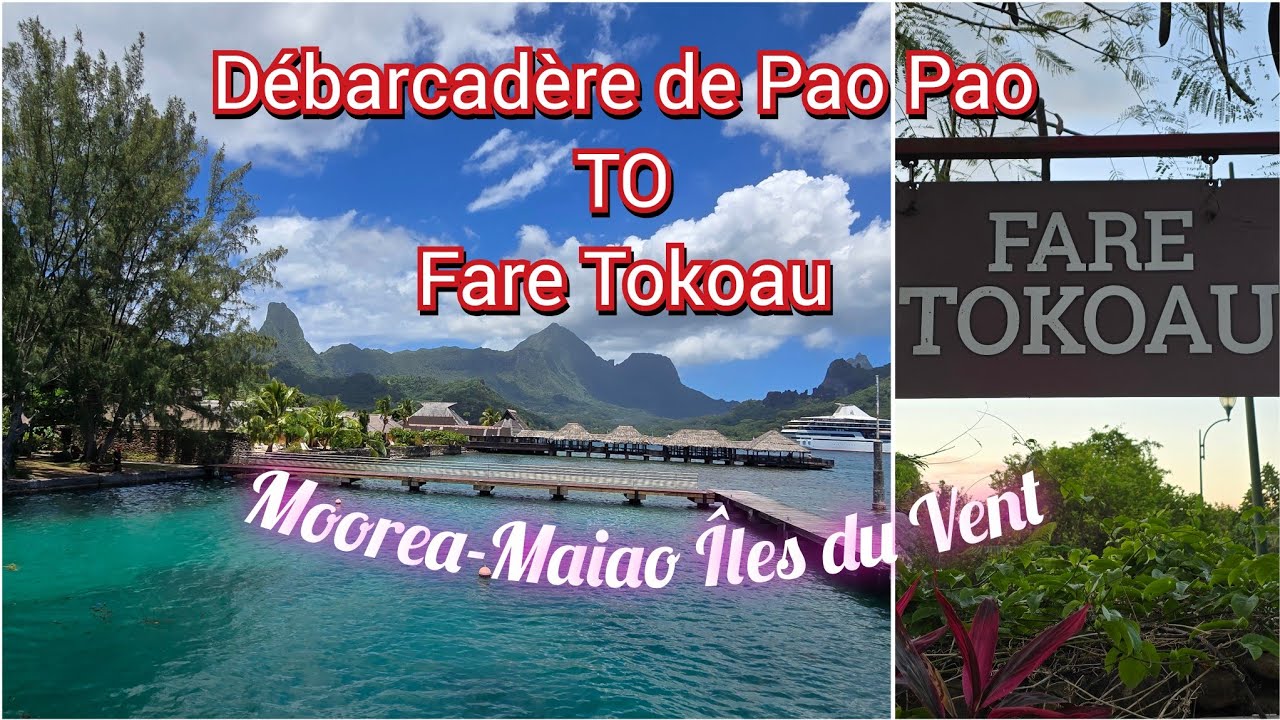 [4K]🇵🇫🏝️ Paopao pier to Fare Tokoau Tiahura Haapiti Moorea (Alex Lagoon Tours Moorea)