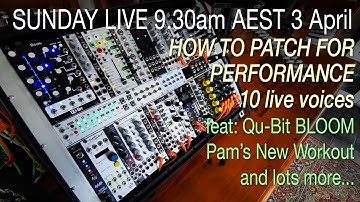 Live Modular PATCHING FOR PERFORMANCE Tutorial Talk & Impro - Fractal & LFO Sequencing, Pams Bloom