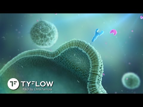 tyFlow Endocytosis