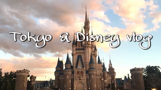Vlog 도쿄 디즈니랜드&디즈니씨 브이로그 디즈니 덕후의 3박4일 도쿄여행기