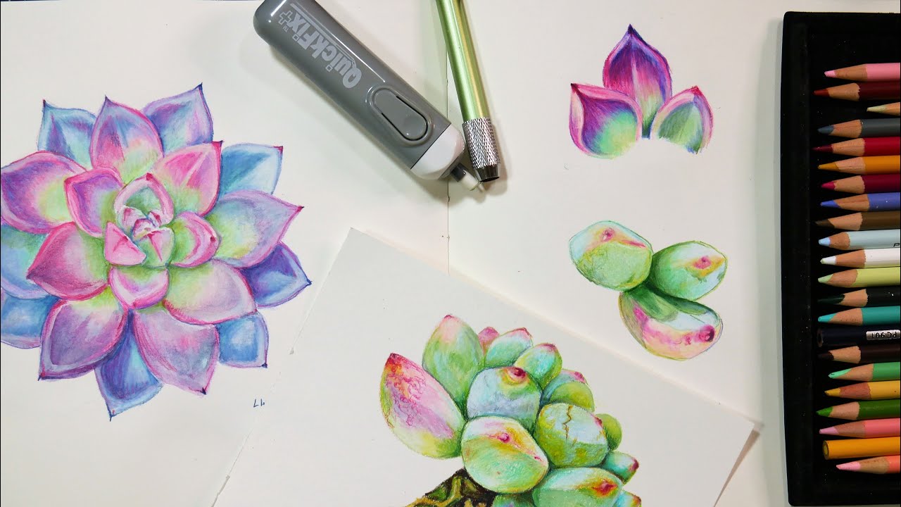 Colored Pencil Supplies — Charlene Collins Freeman Art