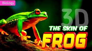 FEATURES OF FROG'S SKIN || 3D ANIMATION || @PW-NEETWallah