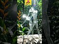 Transparent glass humans interacting | Love Couple by Ai #technology #aistudio #youtubeai #aiart
