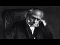 Schopenhauer (2/5) : Le pessimisme