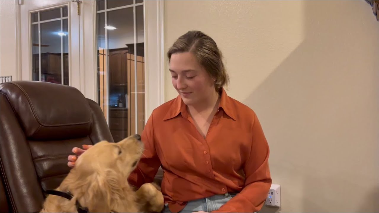 Ogden Utah Dog Training | Salt Lake City Dog Training | “They Really Invest In The Training"