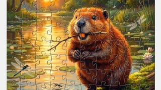 Challenge Puzzle solve Game 2026 Cat 2 Hidden