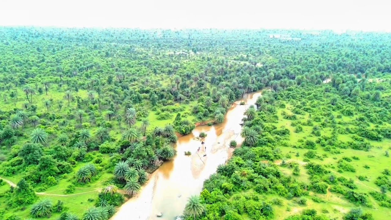 24  Hour of Calming Rainforest Drone Views 