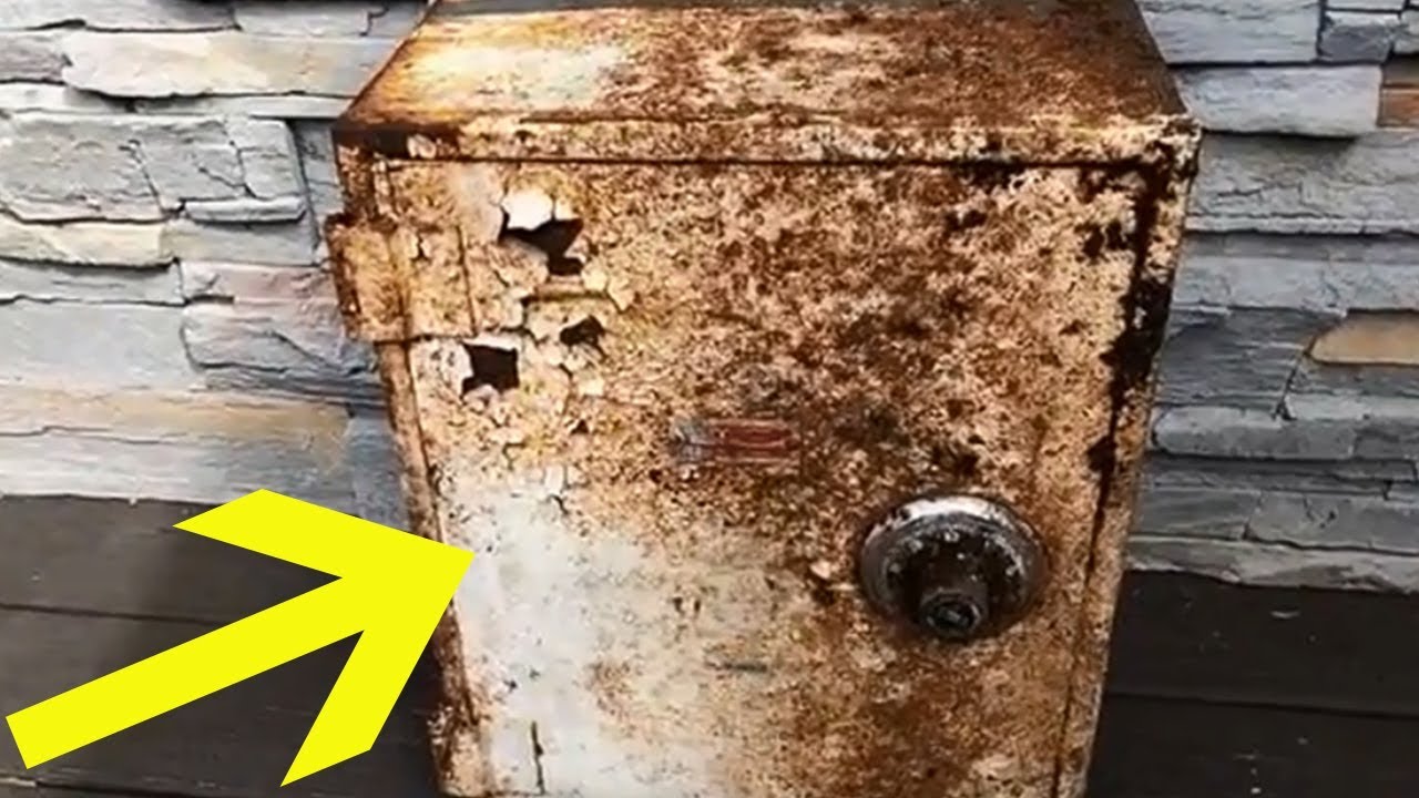 top movies on netflix During Routine Landscaping, A Staten Island Man Made A Dazzling Realization