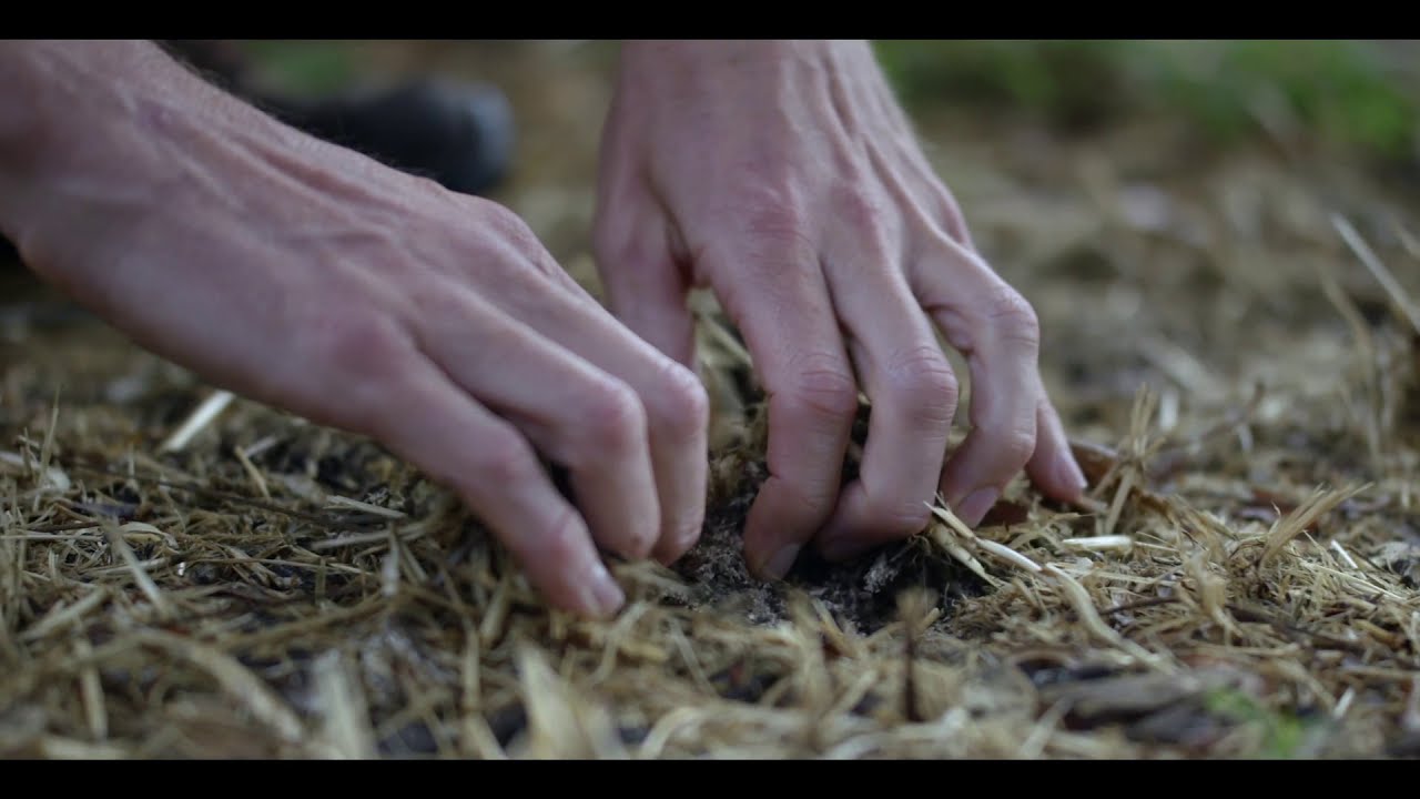 Carbon Farming  A Climate Change Solution