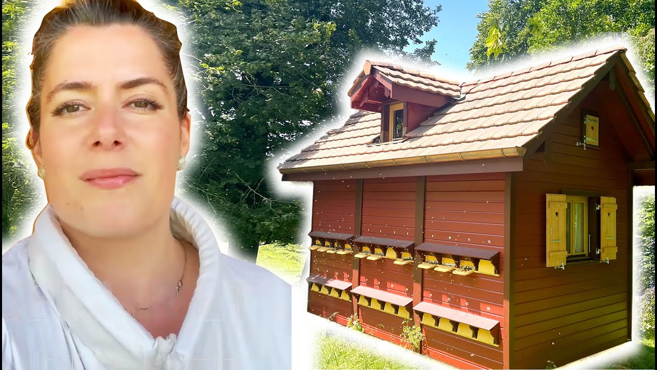 Mon apiculture : comment je prends soin de mes abeilles