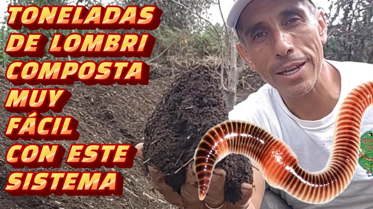 TONELADAS DE LOMBRICOMPOSTA, CÓMO LO HAGO?