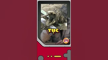 1001 điều Dr Bright không được làm trong SCP - Phần 2 #bonnut #suthatthuvi #SCP