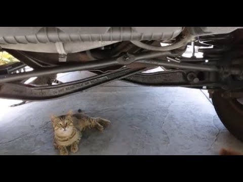 Ford Econoline Van Random Vibration suspension Wobble at Freeway speed possible cheap (easy /fix)