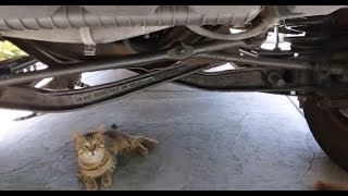 Ford Econoline Van Random Vibration suspension Wobble at Freeway speed possible cheap (easy /fix)