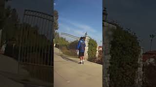 DRAMATIC MOMENT Black Bear Confronts Amazon Driver on Doorstep