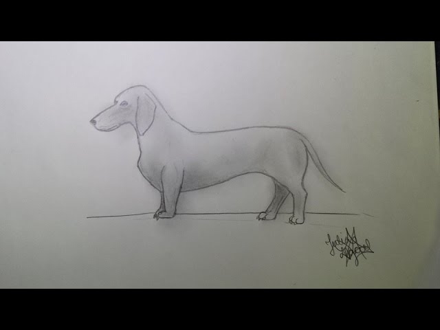 Tutorial: Como desenhar um cachorro fácil