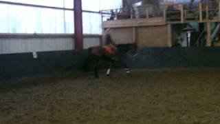 Bild 018.avi