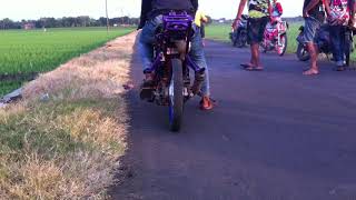 Lms All1