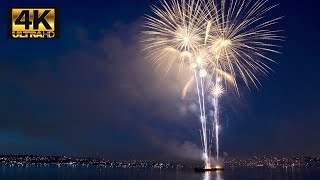 Drone Fly By Through Firework Show! 4K