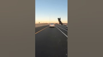 The importance of the helmet 😮 | UNEXPECTED | Crash | Kawasaki