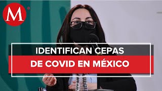 Esto se sabe sobre las cepas de coronavirus en México: Ssa